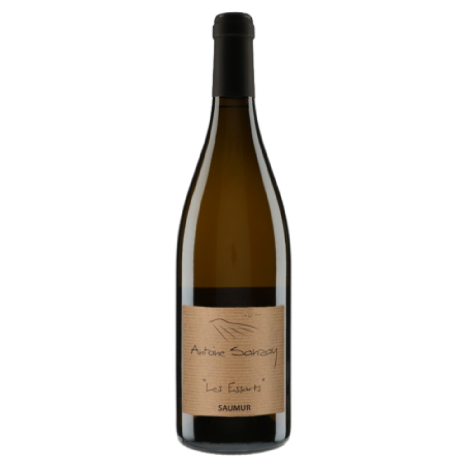 Saumur - Les Essarts - Domaine Antoine Sanzay - 2023