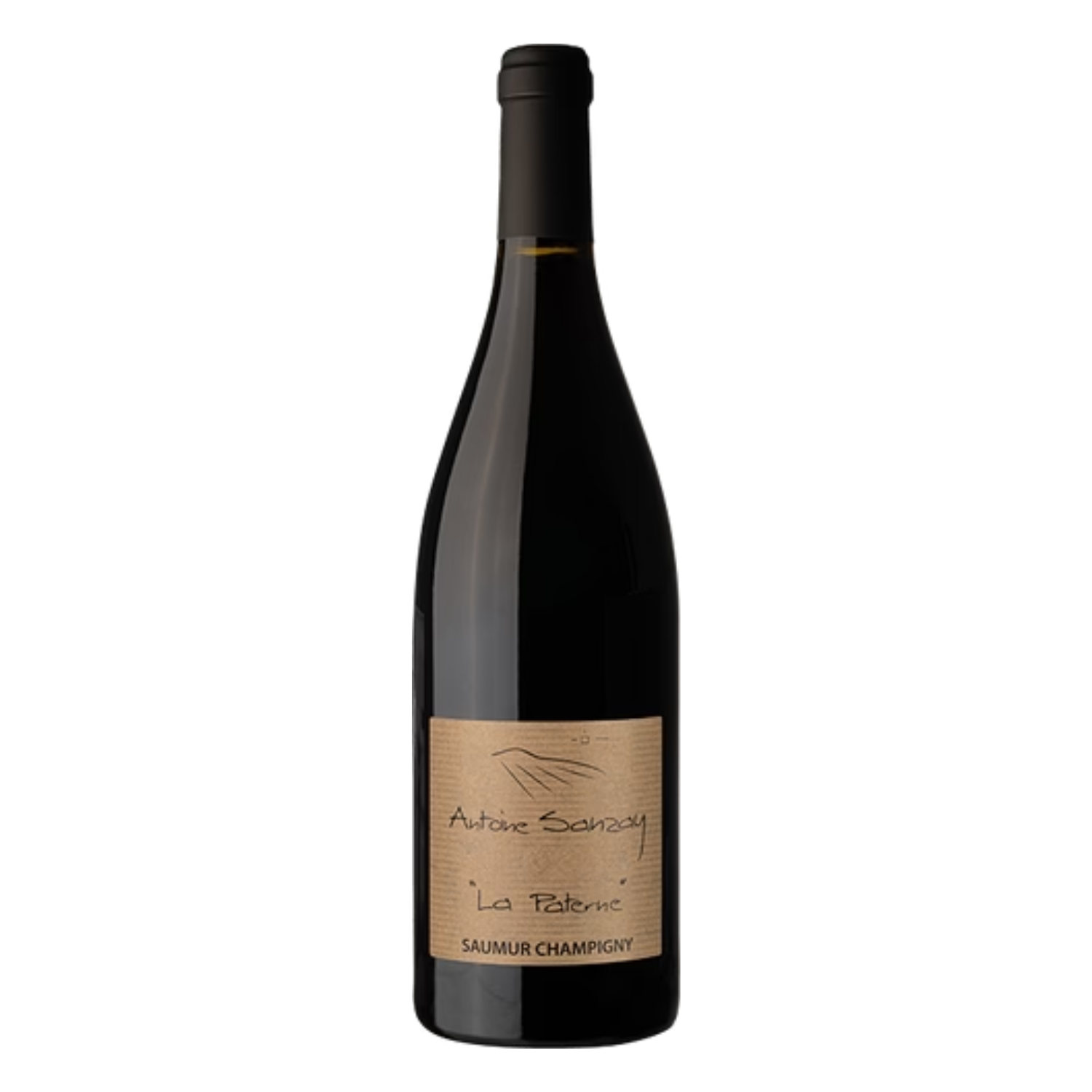 Saumur Champigny - La Paterne - Domaine Antoine Sanzay - 2024