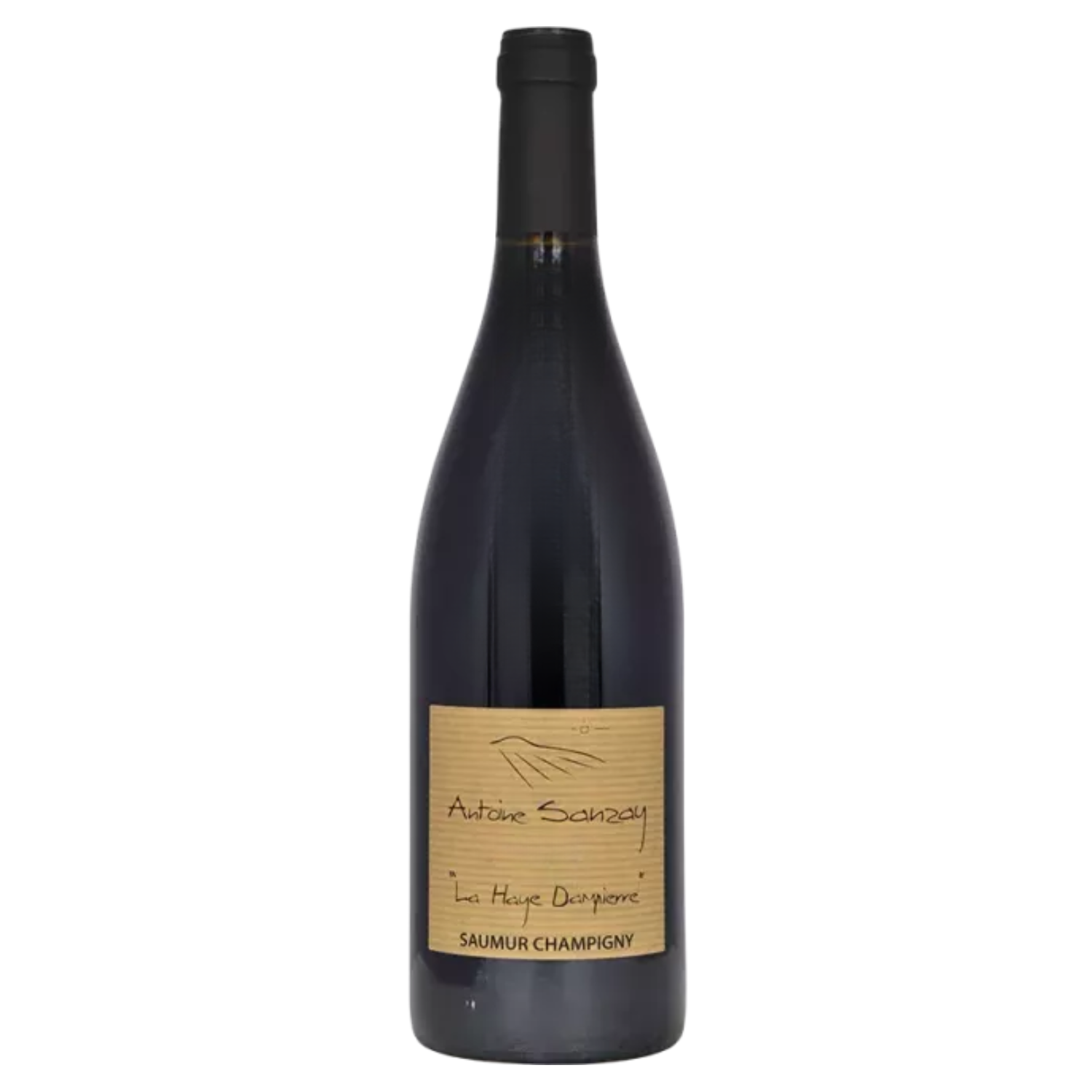 Saumur Champigny - La Haye Dampierre - Domaine Antoine Sanzay - 2023