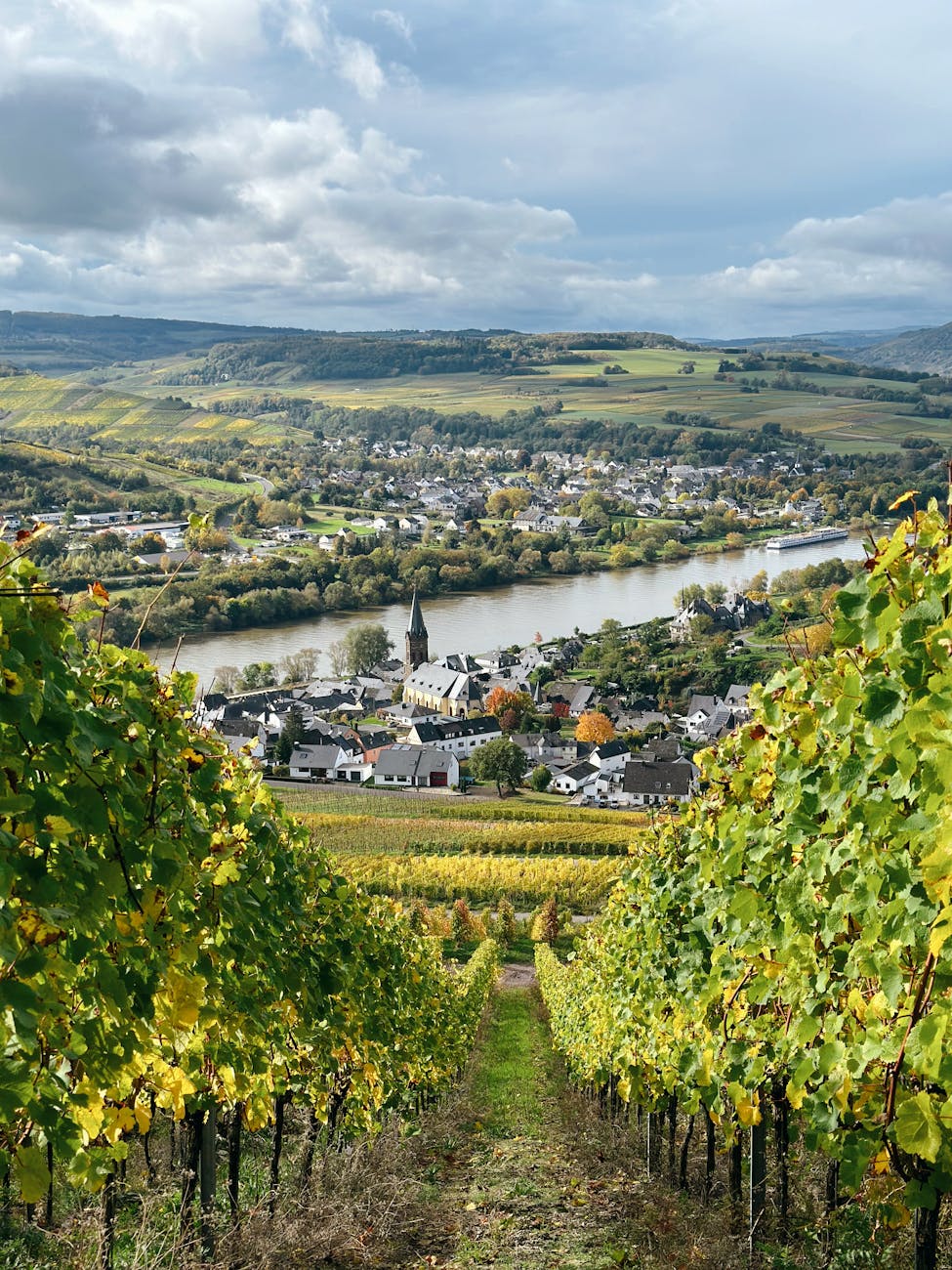 Initiation à la Vallée de la Loire - Lundi 14 Septembre - 19h