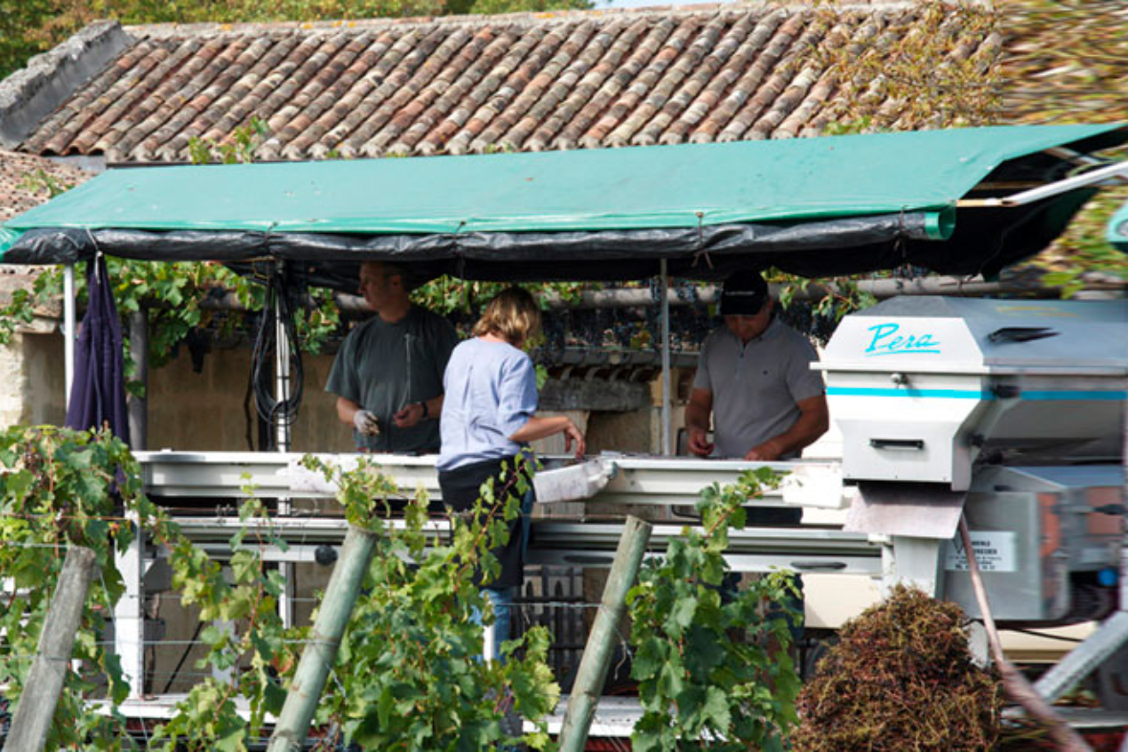 Vigneron Domaine Bader