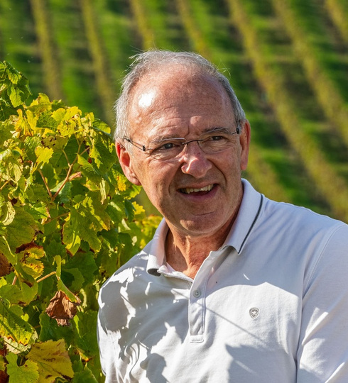 chateau puy servain