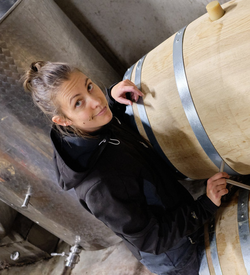 domaine helene bleuzen