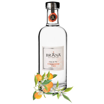EDV-Clementine-Brana