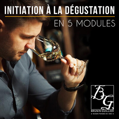 DEGUSTATION 5 MODULES
