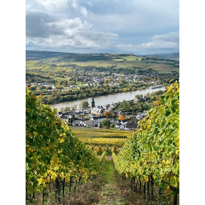 Vue Panoramique Sur Le Vignoble Surplombant Le Village Allemand