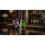 Dandyne + Spritz violette