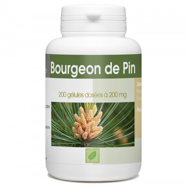 bourgeon-de-pin-200-gelules-a-200-mg