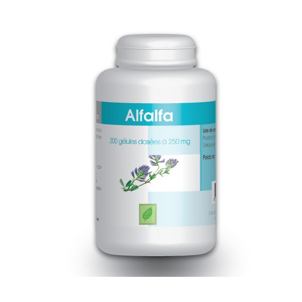 alfalfa-200-gelules-a-230-mg