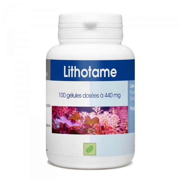 lithotame-100-gelules