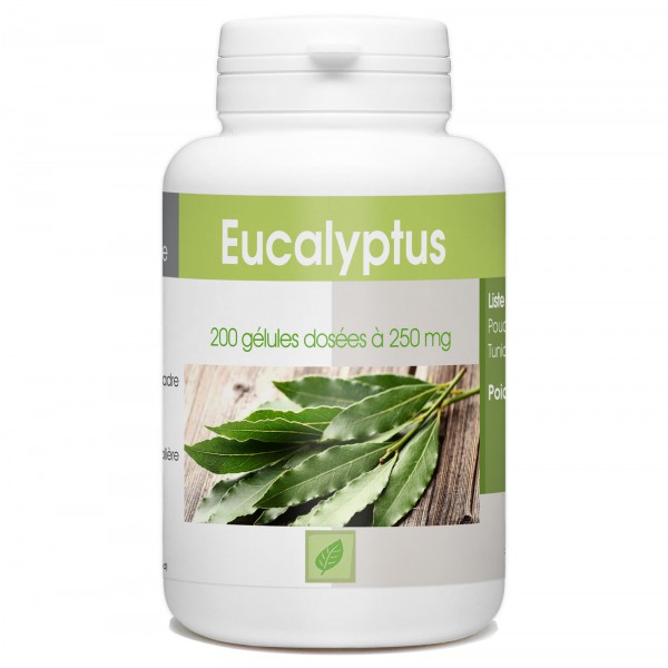 eucalyptus-200-gelules