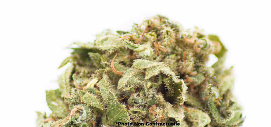 trim