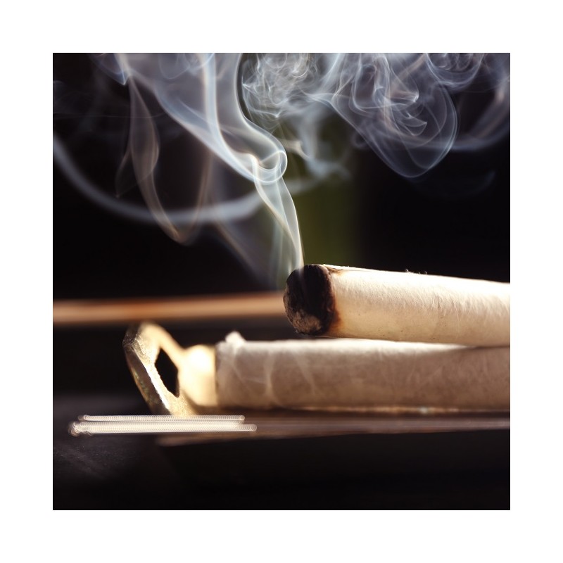 moxas-chinois-darmoise-pure-3