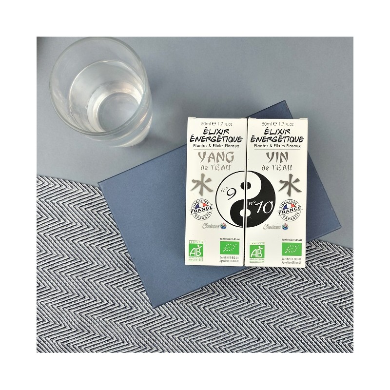 elixir-energetique-5-saisons-n9-yang-de-l-eau-rein-n