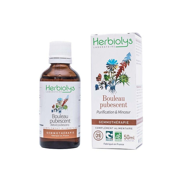 bouleau-pubescent-bourgeon-bio-gemmotherapie