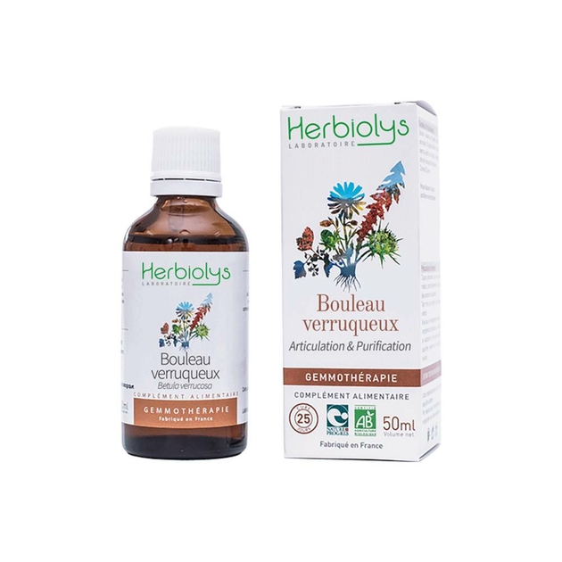 bouleau-verruqueux-bourgeon-bio-gemmotherapie