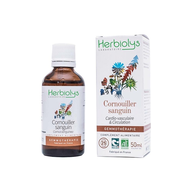 cornouiller-sanguin-bourgeon-bio-gemmotherapie