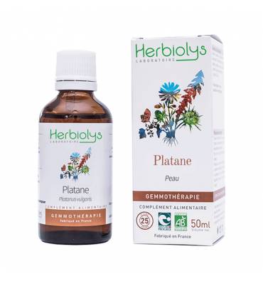 platane-bourgeon-bio-gemmotherapie