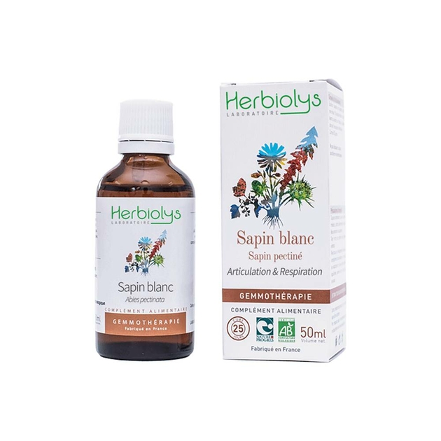 sapin-blanc-sapin-pectine-bourgeon-bio-gemmotherapie