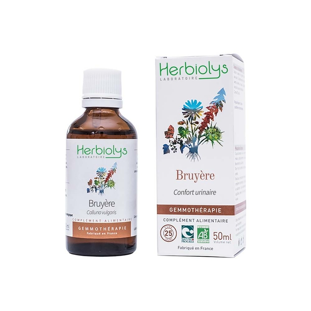 bruyere-bourgeon-bio-gemmotherapie
