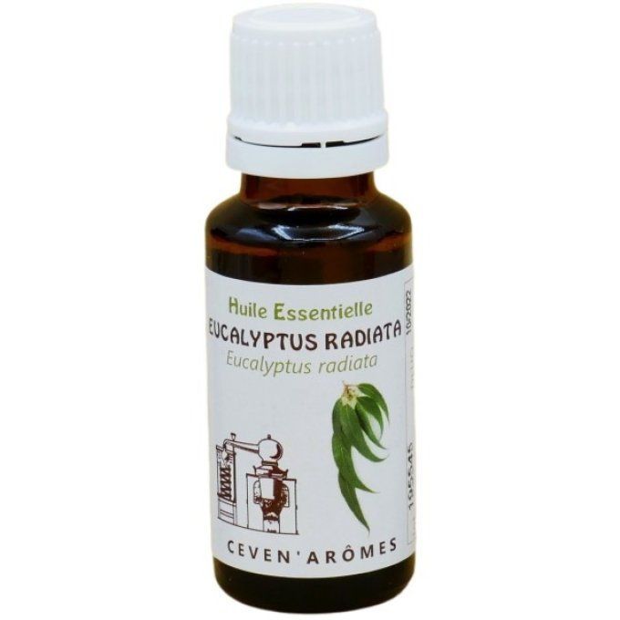 eucalyptus-radiata-20ml-huile-essentielle-mini