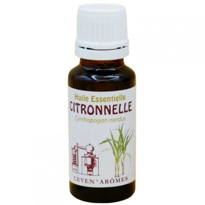 citronnelle-20ml-huile-essentielle-mini