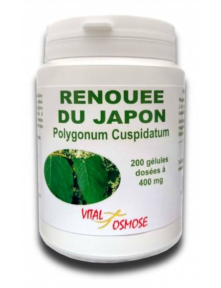 renouee-du-japon-200-gelules