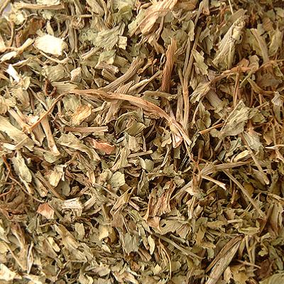 plantain-feuilles