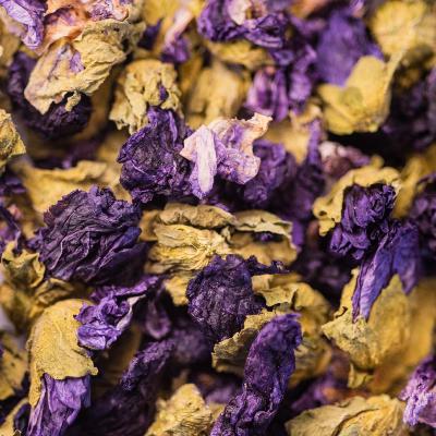 2020-mauve-fleur-003