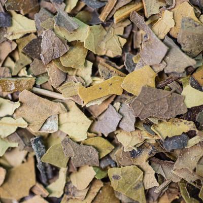 2020-mate-feuille-002