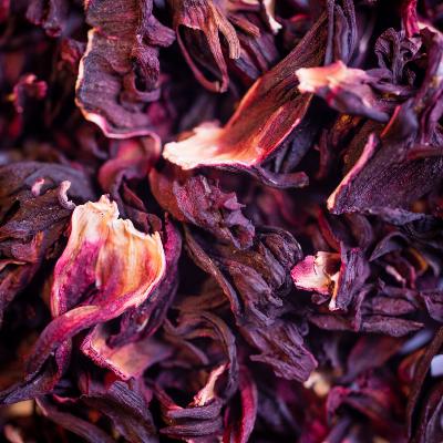 2020-hibiscus-004
