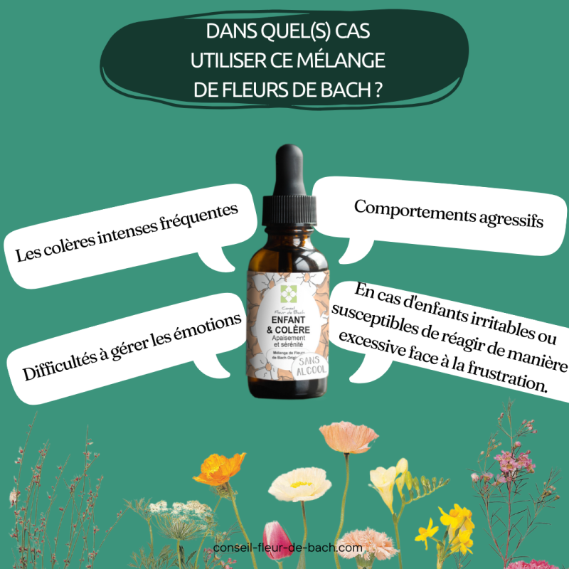 fleurs-de-bach-enfants-en-colere3