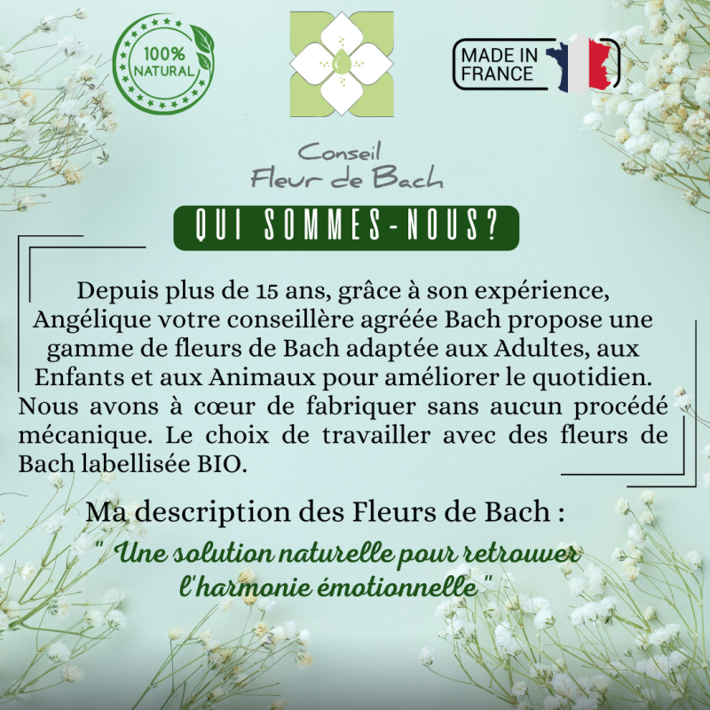 elixir-melange-stress-angoisse-4