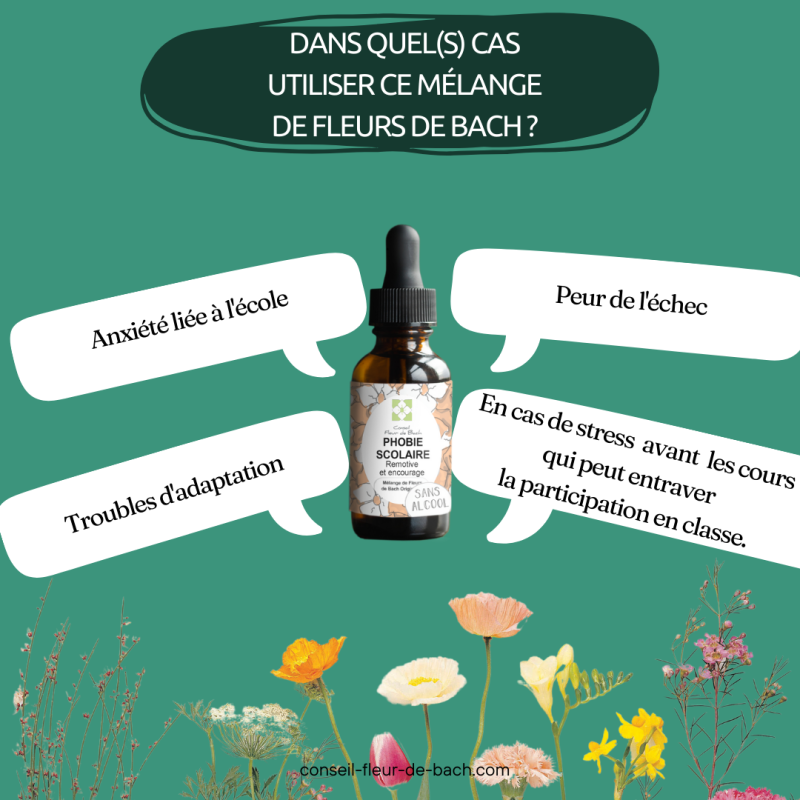fleurs-de-bach-phobies-scolaires-30ml3