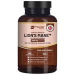 lion-s-amne-1