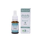 mustard-moutarde-n21-fleurs-dr-bach-bio