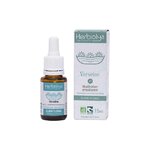 vervain-verveine-n31-fleurs-dr-bach-bio