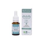 wild-oat-folle-avoine-n36-fleurs-dr-bach-bio