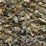 2020-hamamelis-feuille-003