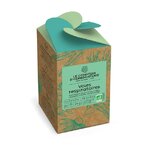 infusettes-respirer-voies-respiratoires-zoom