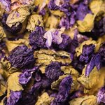 2020-mauve-fleur-003