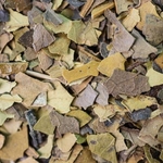 2020-mate-feuille-002