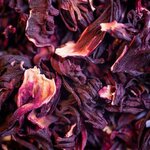 2020-hibiscus-004