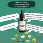 elixir-syndromes-premenstruels-irritabilite3