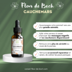 fleurs-de-bach-cauchemars-30ml2