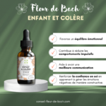 fleurs-de-bach-enfants-en-colere2