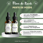 fleur-de-bach-pour-maigrir-perte-de-poids-2