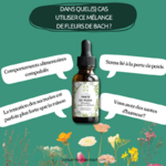 fleur-de-bach-pour-maigrir-perte-de-poids-3