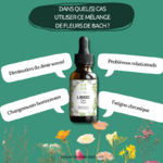 melange-perte-libido-desir-sexualite3