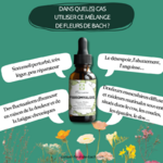 melange-fleurs-de-bach-et-fibromyalgie3